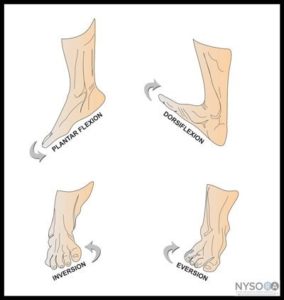 Border Podiatry Centre | The “Lateral” Ankle Sprain